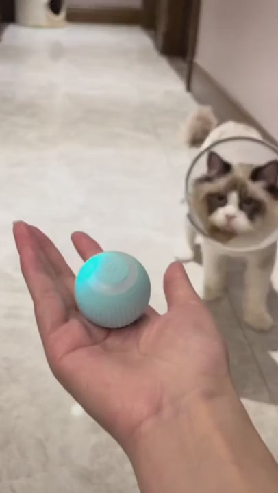Intelligenter rollender Haustierball – Interaktiver Spaß für Katzen und kleine Hunde! 